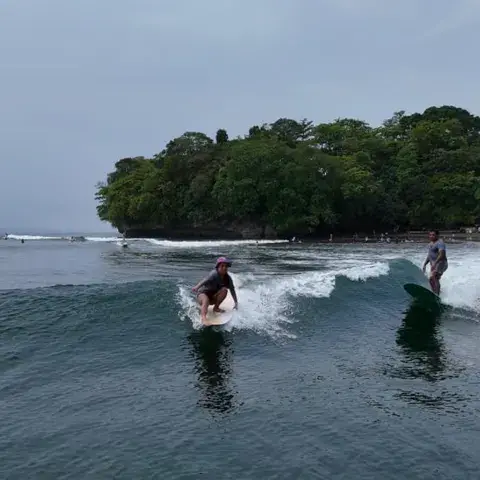 Surfeurs sur la vague, petite île boisée au fond