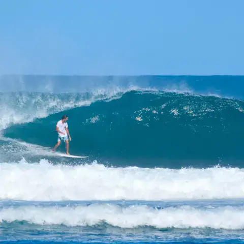 Surfeur sur une vague bien formée