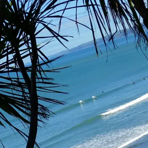 Vagues déferlantes au large d'une plage de la côte de Raglan