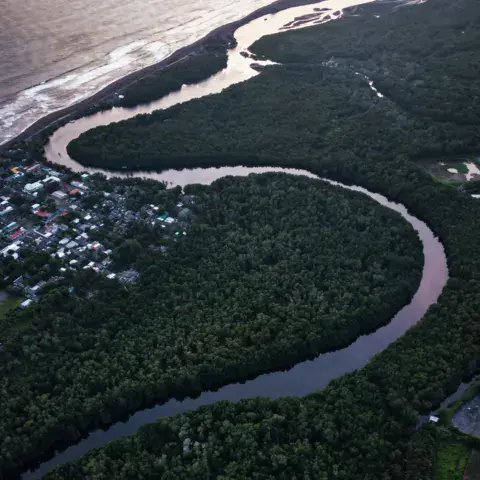 Vue aérienne de la côte et de la mangrove