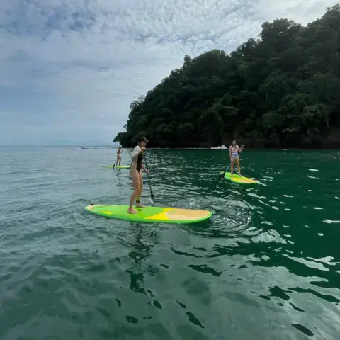Sortie en paddle sur une eau calme, devant une côte boisée