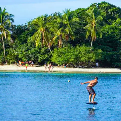 Foil sur une eau calme, devant une plage bordée de palmiers