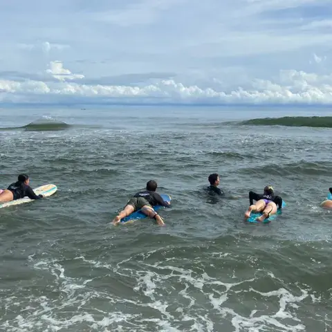 Groupe de surfeurs à plat ventre sur leurs planches, en attente d'une vague