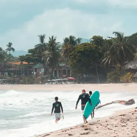 Surfeurs avec leurs planches sur une plage bordée de palmiers