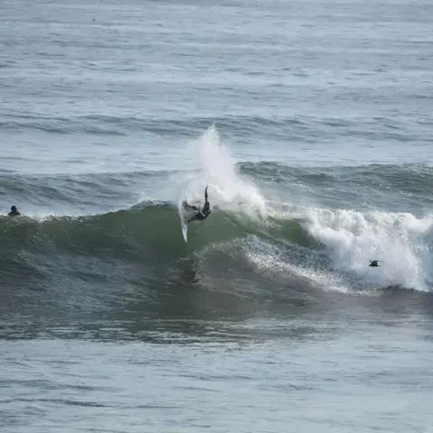 Surfeur sur une vague