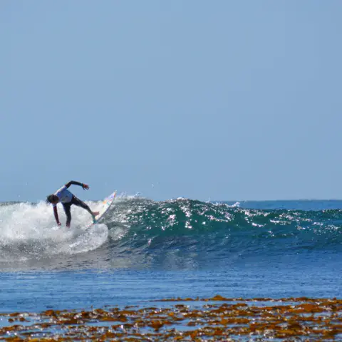 Surfeur sur une vague