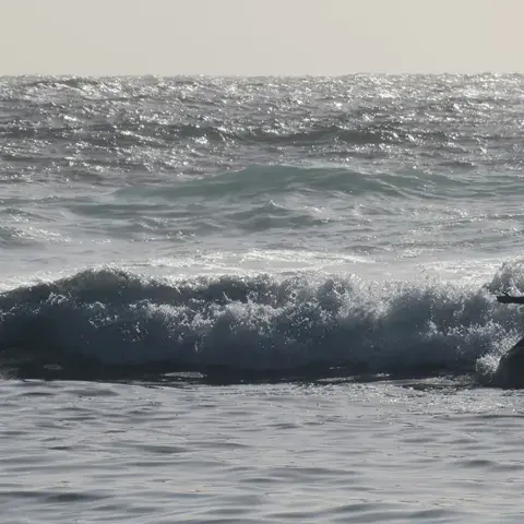 Deux surfeurs sur une vague