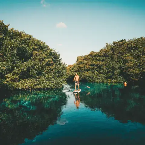 Sortie en paddle sur une eau calme bordée de végétation