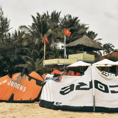 Ailes posées sur le sable de la plage, au pied des palmiers