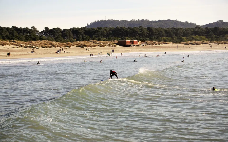 Surfeurs dans les vagues de la plage