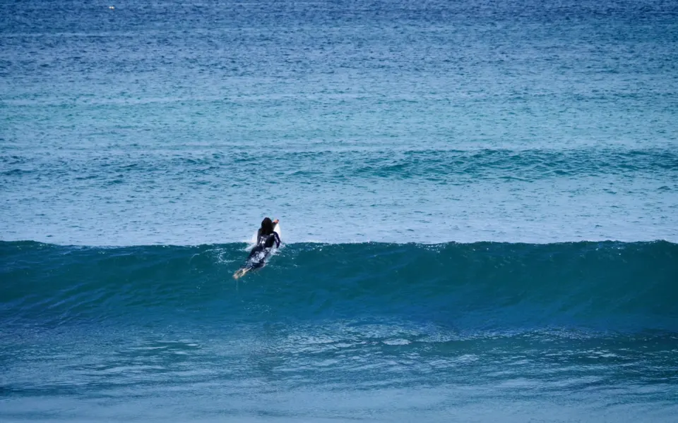 Surfeur sur une vague