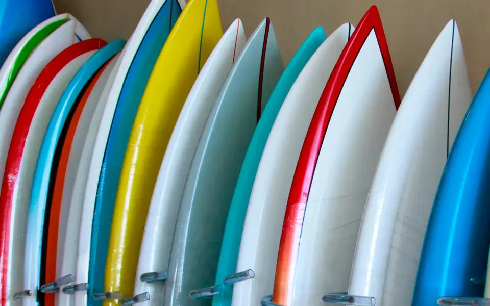 Planches de surf alignées en location