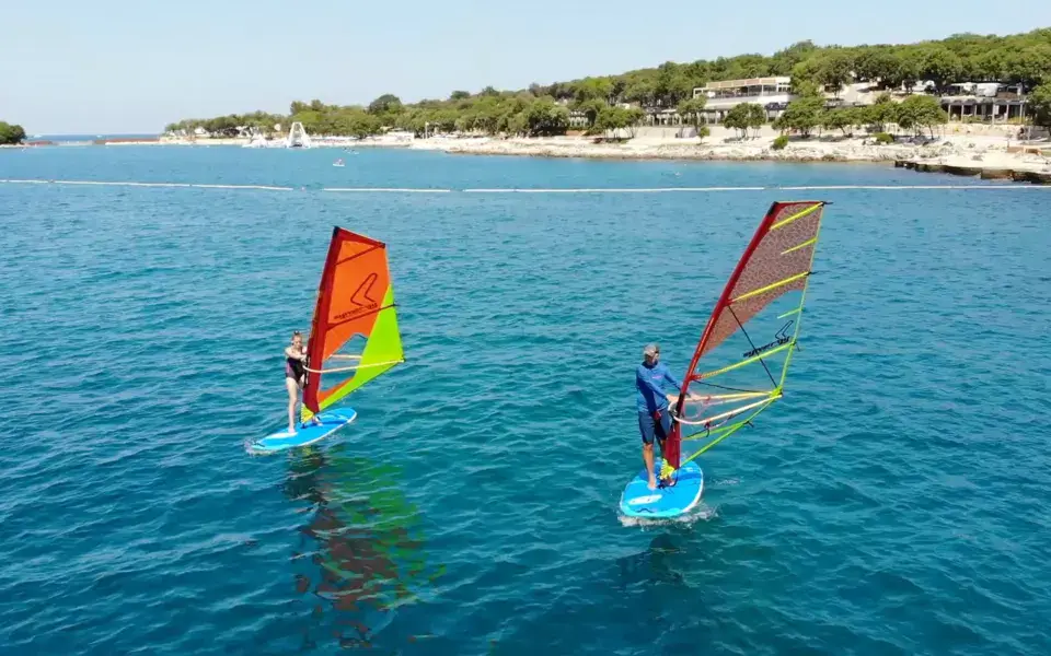 Deux planches à voile devant une côte boisée