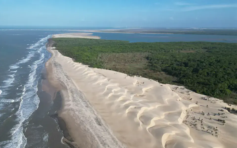 Vue aérienne d'une plage bordée de dunes et de végétation