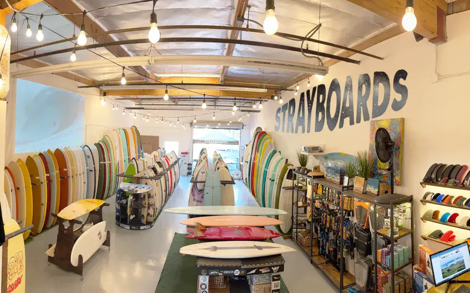 Intérieur du magasin avec ses rangées de planches