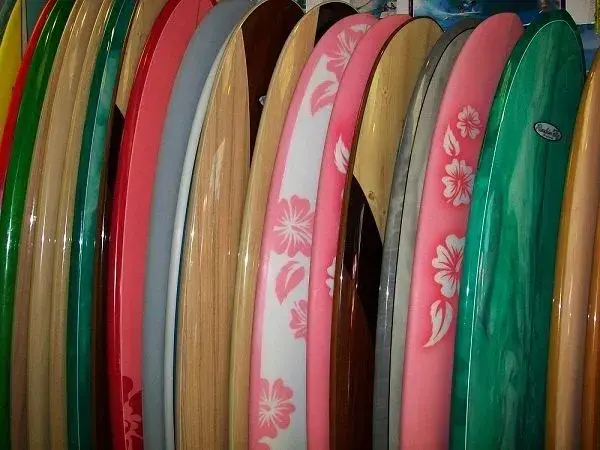 Planches de surf alignées dans le magasin