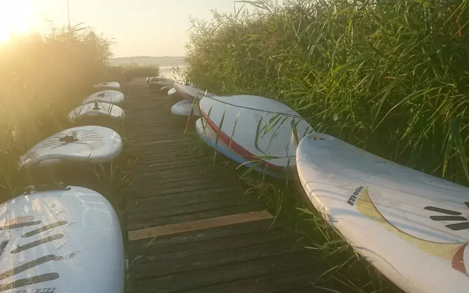 Planches alignées sur un ponton au bord des roseaux
