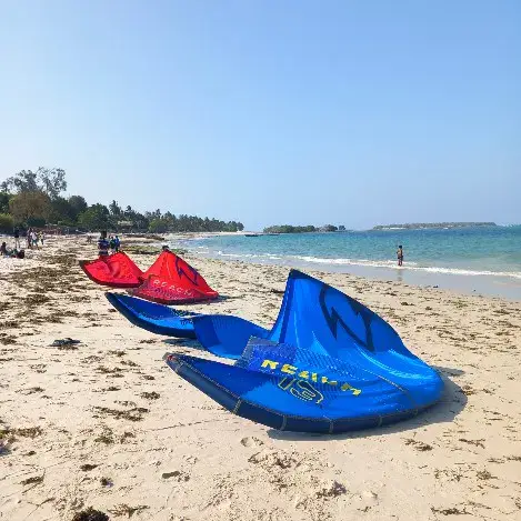 Kites posés sur la plage de sable