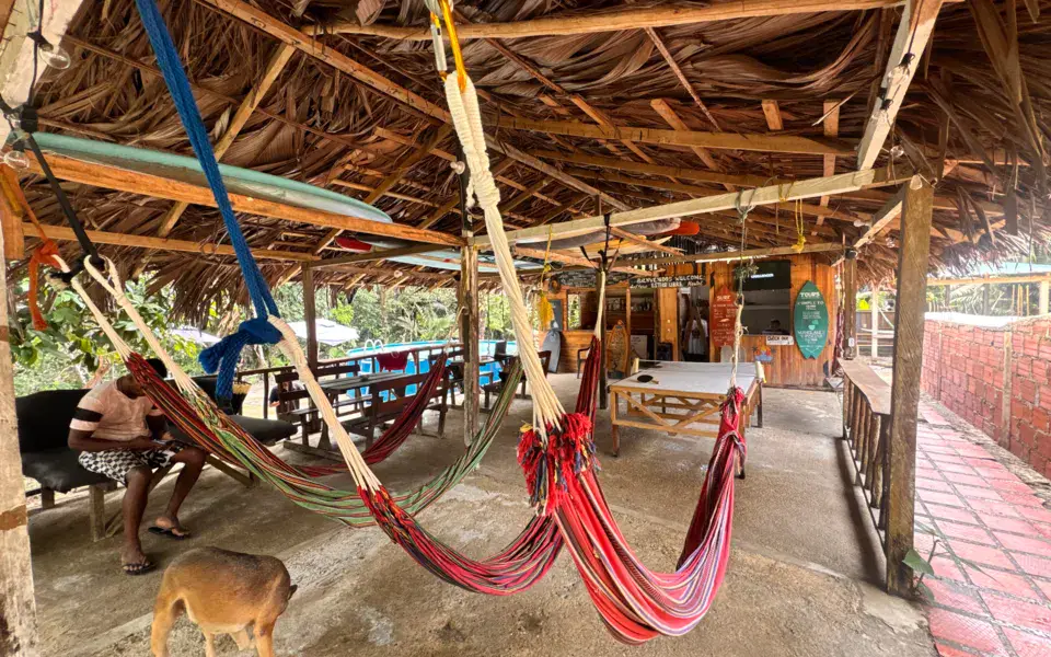 Espace commun avec hamacs de l'auberge