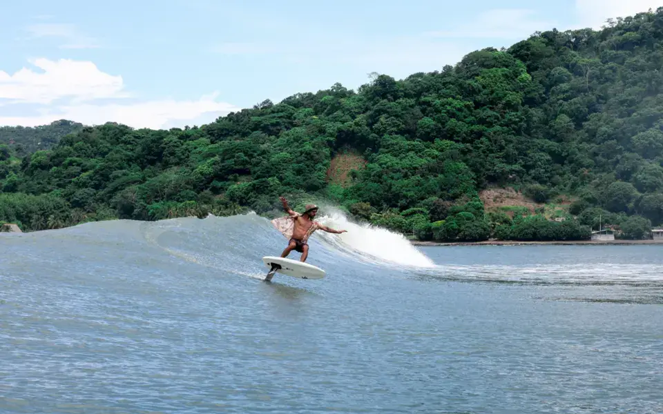 Surfeur sur une vague face à la côte