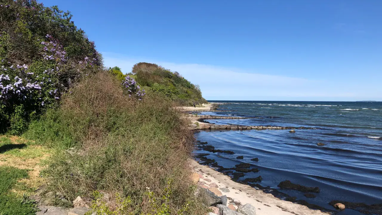 Plage près de Klein Zicker, Rügen — Sabänschen, CC BY-SA 4.0, Wikimedia Commons