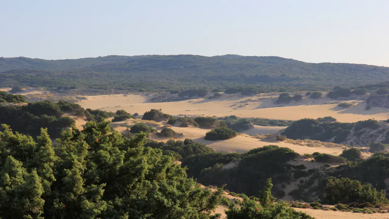 Dunes de Piscinas, Arbus — Gianni Careddu, CC BY-SA 4.0, Wikimedia Commons