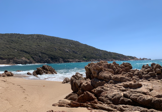 corsica | tizzano
