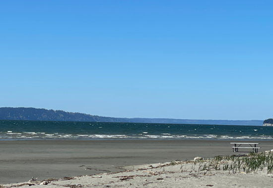 Jetty Island