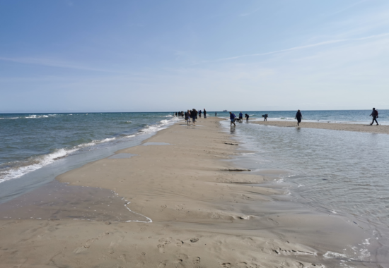 Skagen