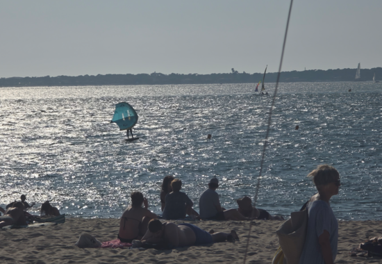 Bassin d Arcachon | Arbousiers