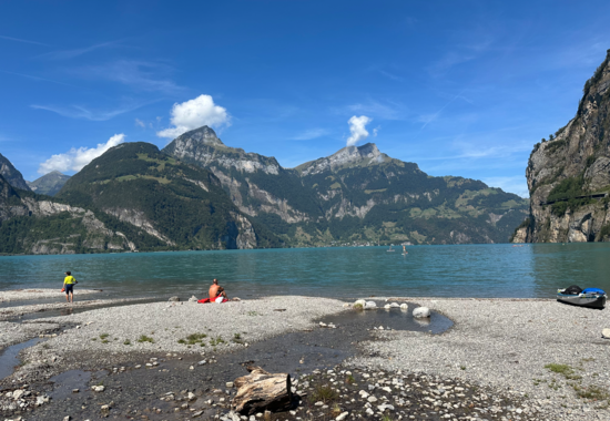 Urnersee | Fluelen