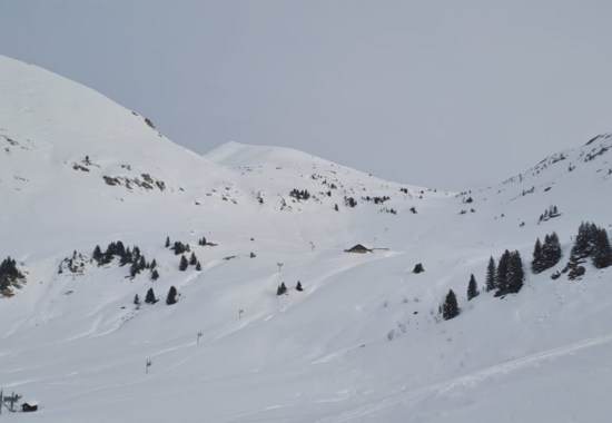 Isenau