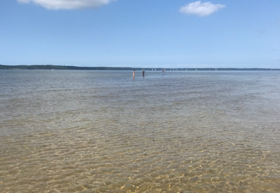 Etang de Cazaux et de Sanguinet, lieu dit "Mayotte"