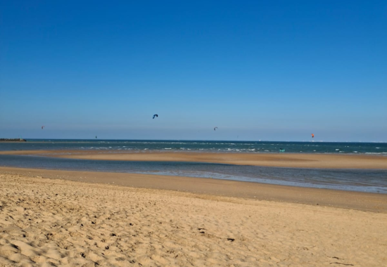 Ile d Oleron | Le Douhet