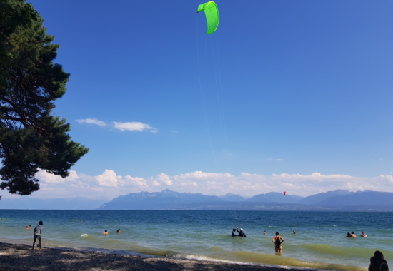Buchillon