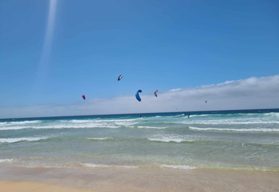 El cotillo