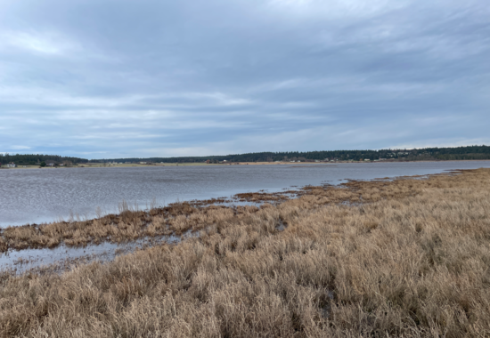 Crockett Lake / Whidbey Island