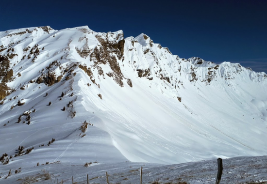 Col de cou