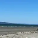 Jetty Island
