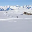 Solaison