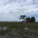 Hourtin-lac