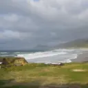 Ponzos