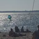 Bassin d Arcachon | Arbousiers