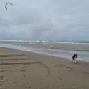De Bunker