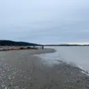 Iverson Trail / Camano Island