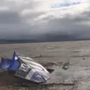 Driftwood