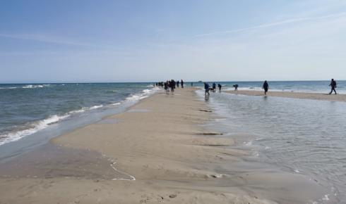 Spot de Skagen