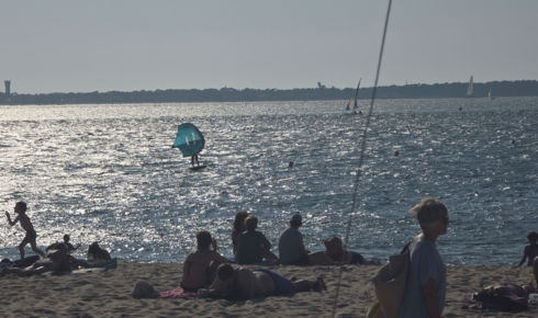 Spot de Bassin d Arcachon | Arbousiers